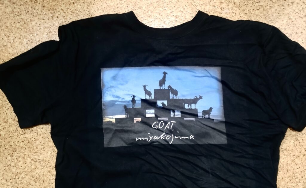 ヤギピラミッド写真Tシャツ