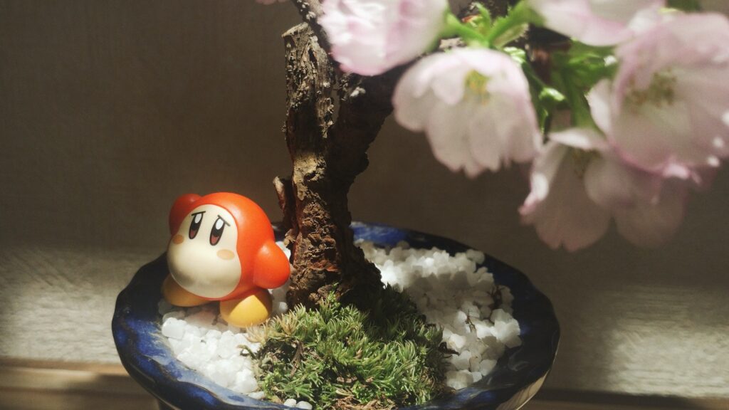 ワドルディのフィギュアと桜盆栽の写真